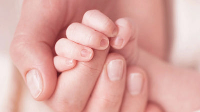 Bc Babycare Established 