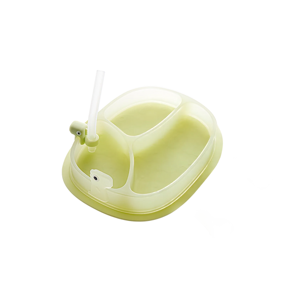 Dinosaur Suction Plate