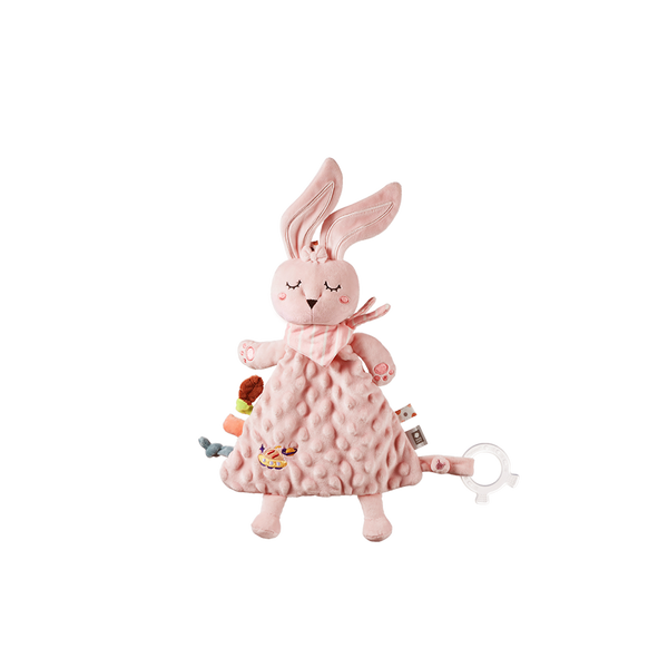 Baby Comfort Blanket & Toys