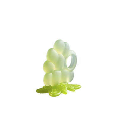 Fruit Teething Toy
