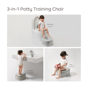 3-in-1 Potty Chair